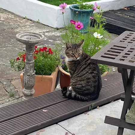 Barrow Harbour Bed & Breakfast Tralee