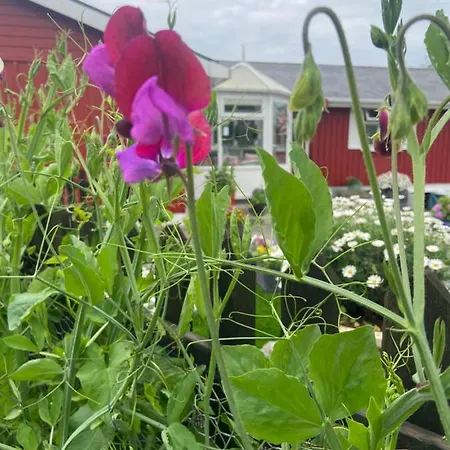 Bed & Breakfast Barrow Harbour