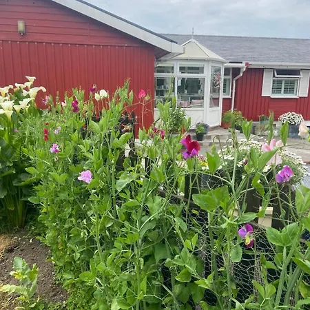 Barrow Harbour Bed & Breakfast