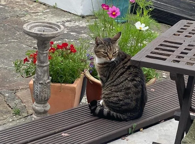 Barrow Harbour Bed & Breakfast Tralee