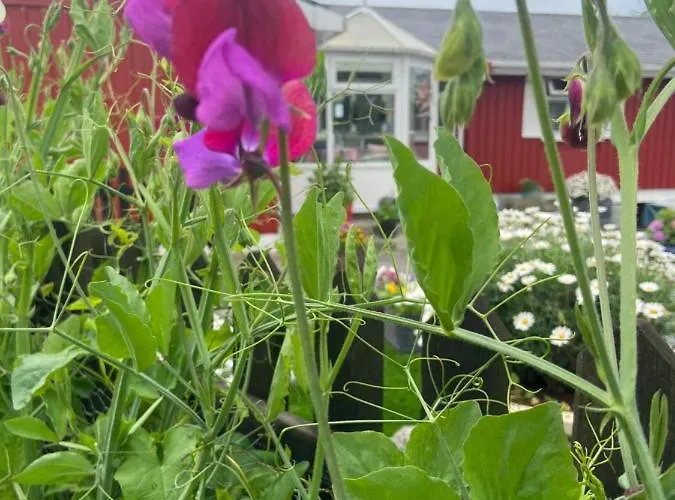 Frühstückspension Barrow Harbour