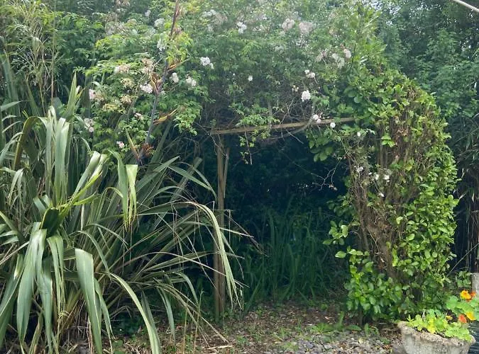 Barrow Harbour Bed & Breakfast Tralee