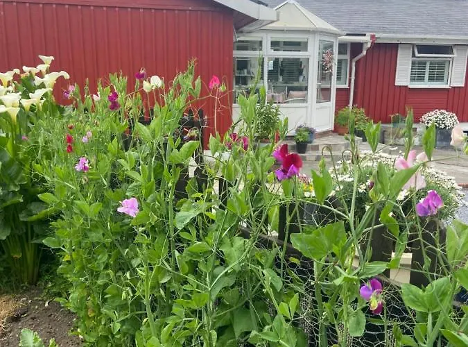 Barrow Harbour Bed & Breakfast